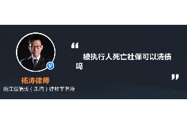 汝州为什么选择专业追讨公司来处理您的债务纠纷？